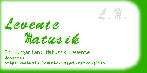 levente matusik business card